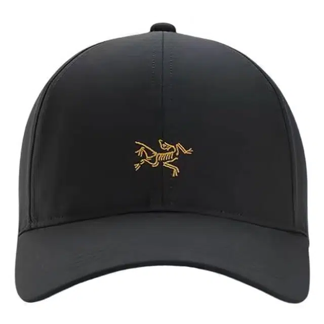Arcteryx Logo