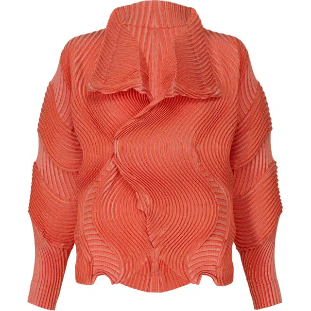 ISSEY MIYAKE FW25