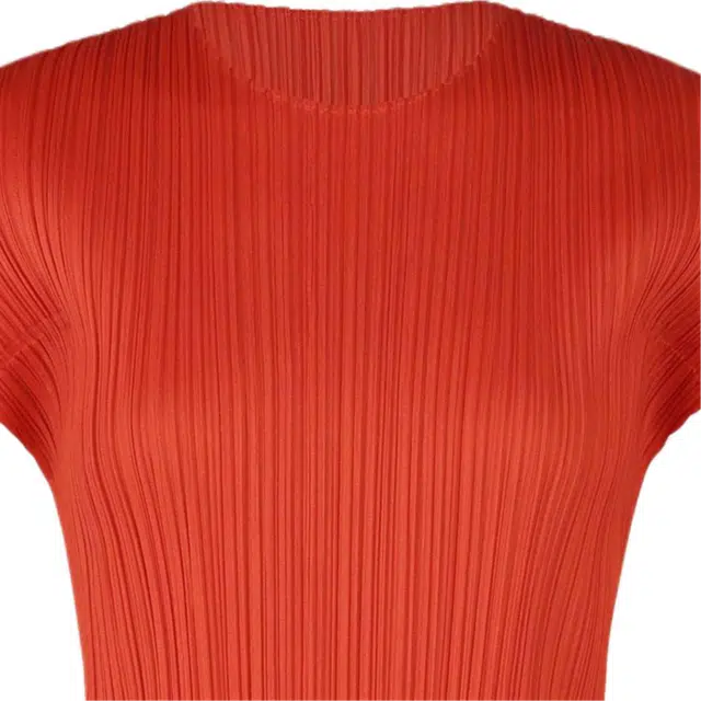 ISSEY MIYAKE FW25T
