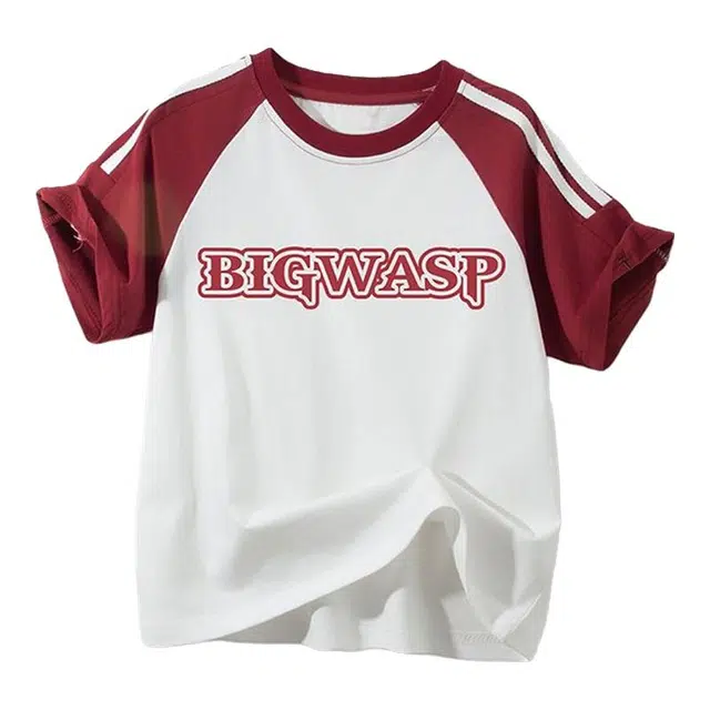 BIG WASPT