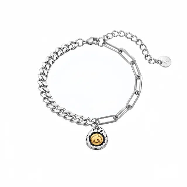 阿葱饰品 时尚复古设计太阳飞鸟 痞帅个性冷淡简约时尚轻奢高级感街头潮流 钛钢 手链 男款