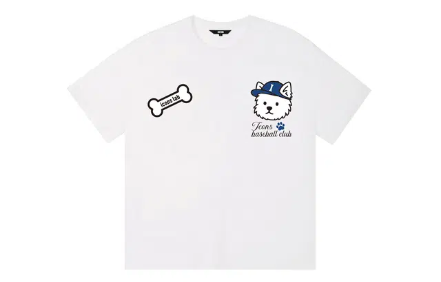 ICONS Lab ICS T