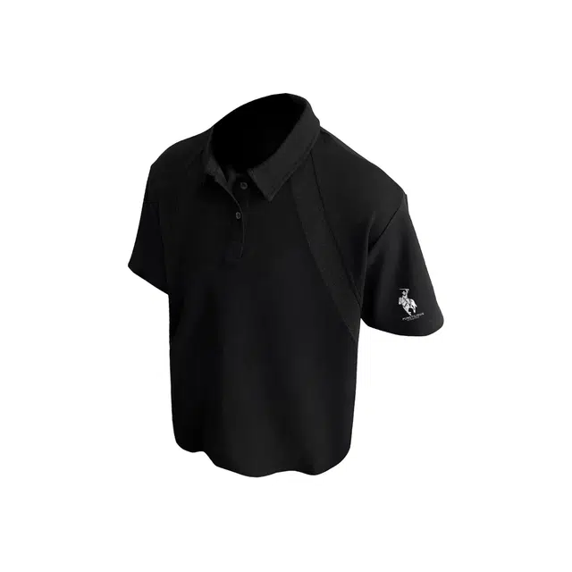 PUNCTILIOUS boxyVIBEcleanfitPOLO