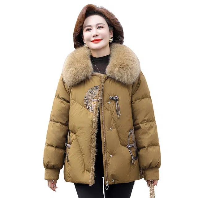 鸭鸭 休闲百搭时尚日常通勤长袖羽绒服 女款