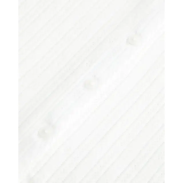 Hollister logo T