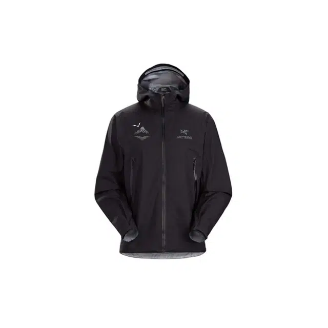 Arcteryx Beta logo