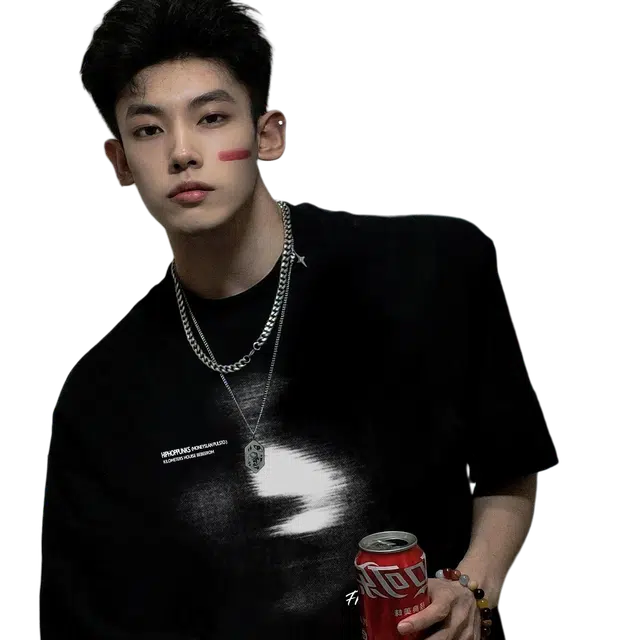 HIPHOPPUNKS T