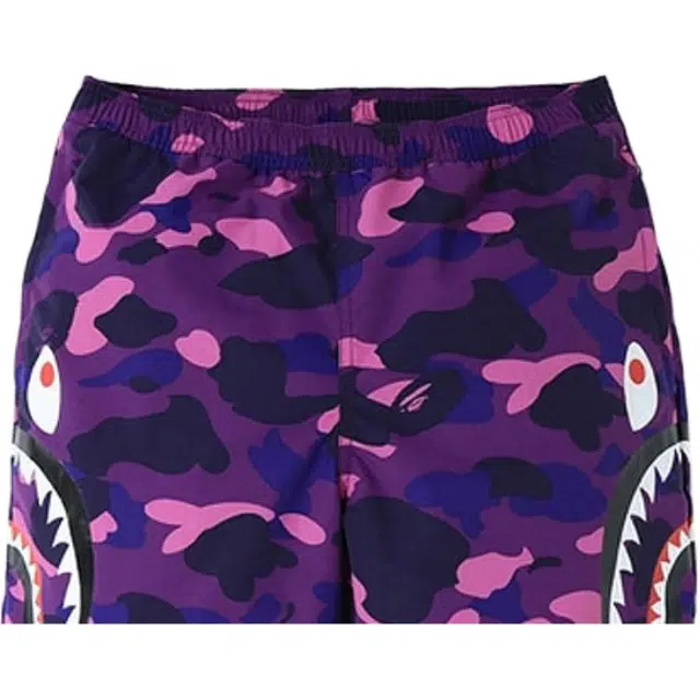 A BATHING APE Color Camo