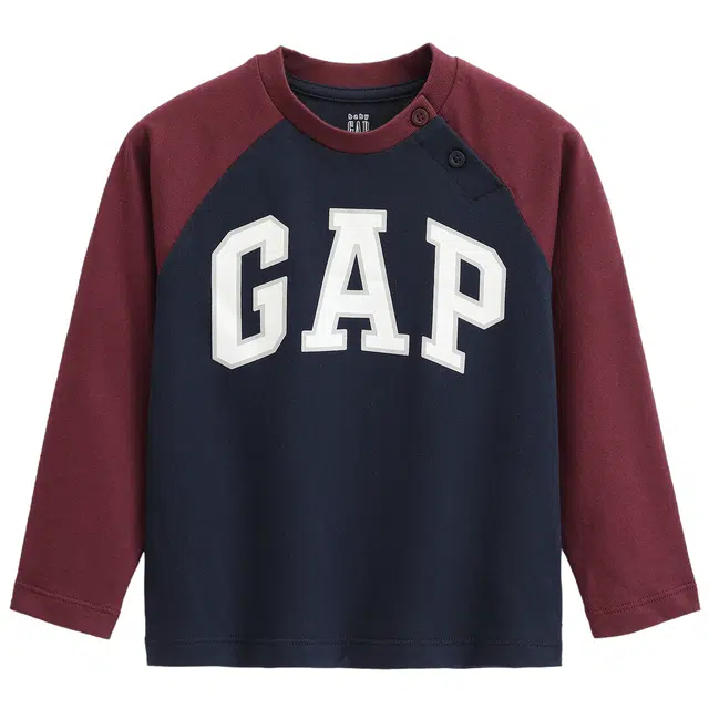 GAPTLOGO