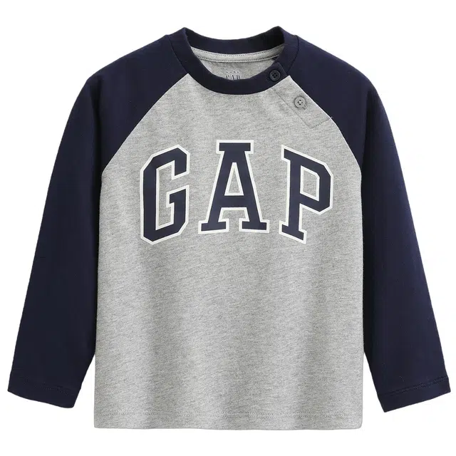 GAPTLOGO