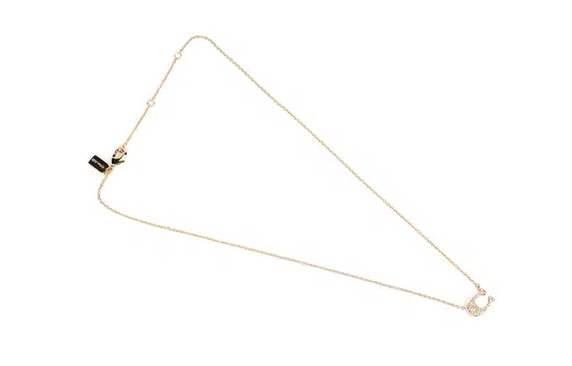 COACH Pave Signature Necklace