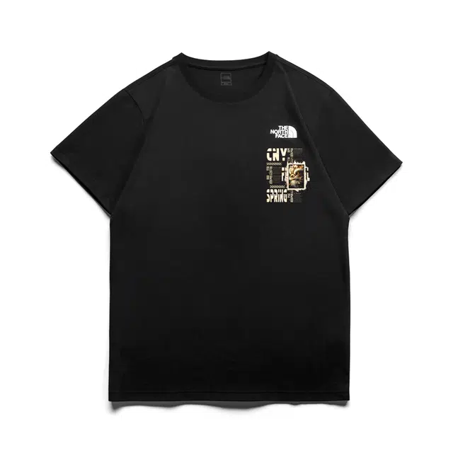 THE NORTH FACE CNYlogoT