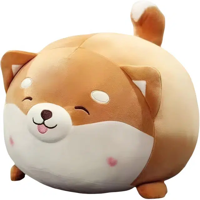 40cm50cm60cm80cm