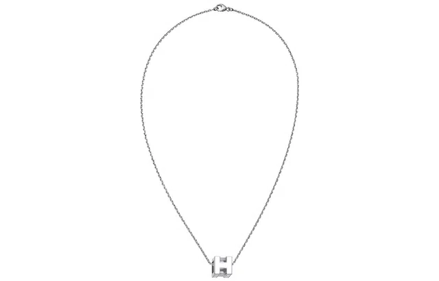 HERMES Cage d'H H