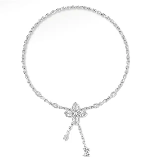 LOUIS VUITTON Monogram