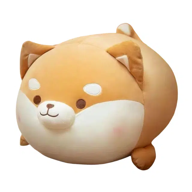 40cm50cm60cm80cm