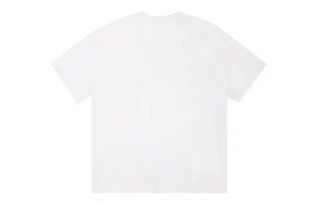 ICONS Lab ICS T