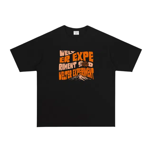WELTER EXPERIMENT LOGO300T