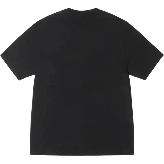 Stussy SS25 SS25 WES WINGS TEE PIGMENT DYED logoT