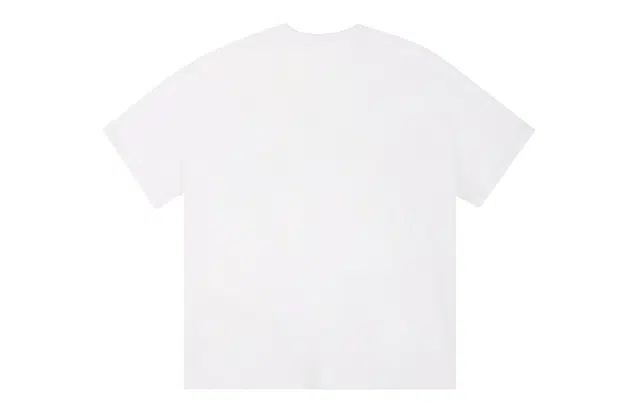ICONS Lab ICS T