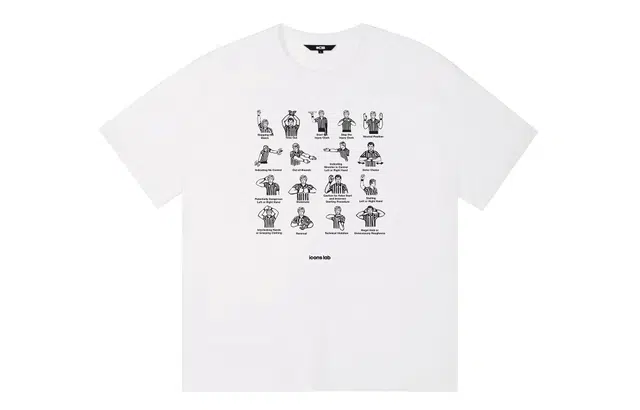 ICONS Lab ICS T