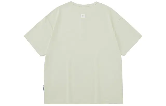 PCLP T