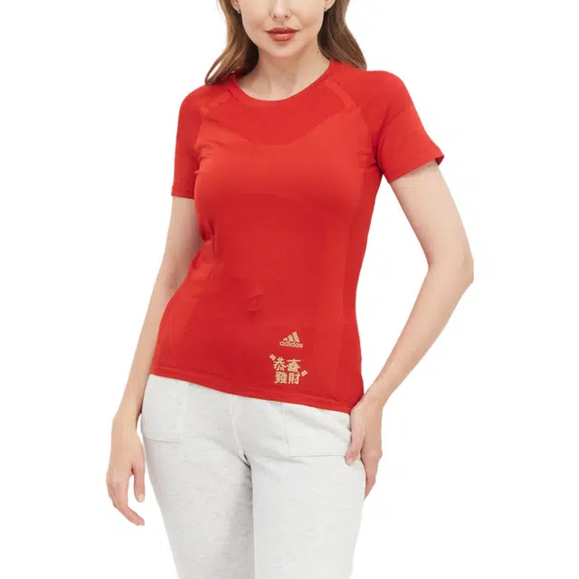 adidas Sportswear Fit Brand Logo Training Top T