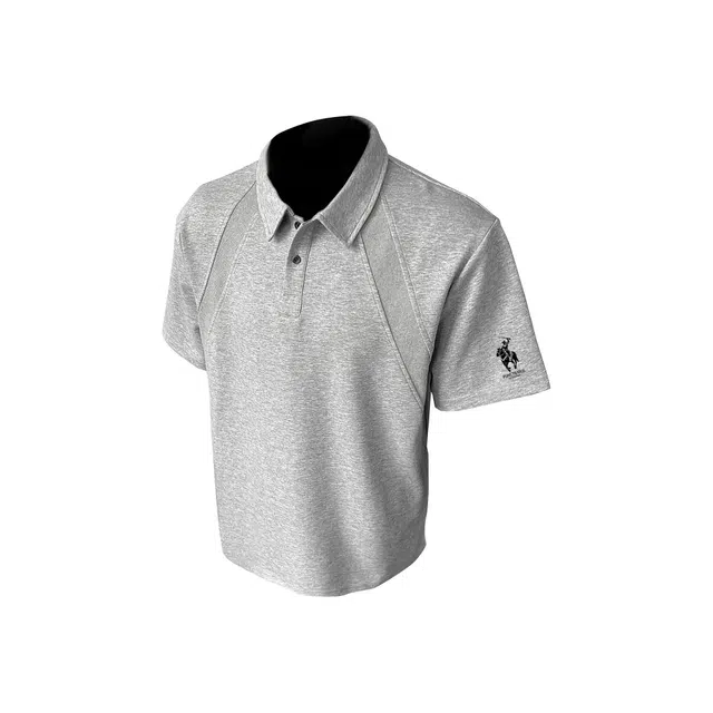 PUNCTILIOUS boxyVIBEcleanfitPOLO