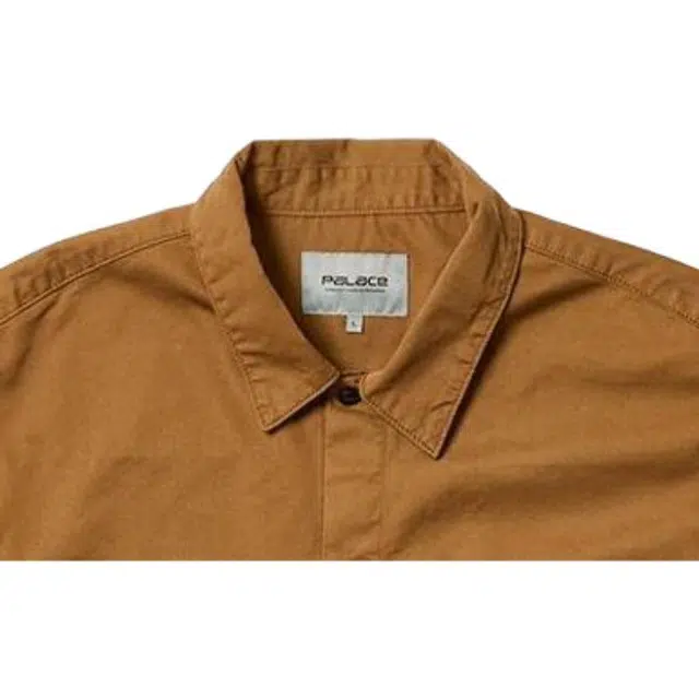 PALACE x Carhartt WIP FW23 logo