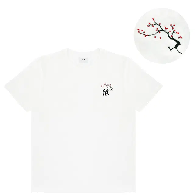 MLB Local star T