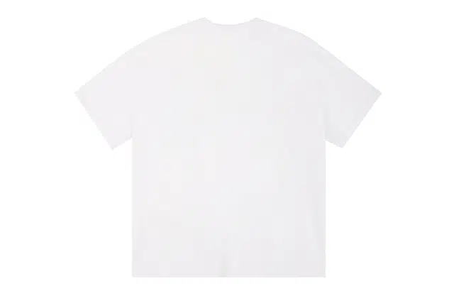 ICONS Lab ICS T