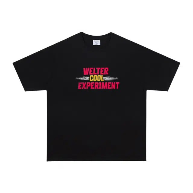 WELTER EXPERIMENT LOGO300T