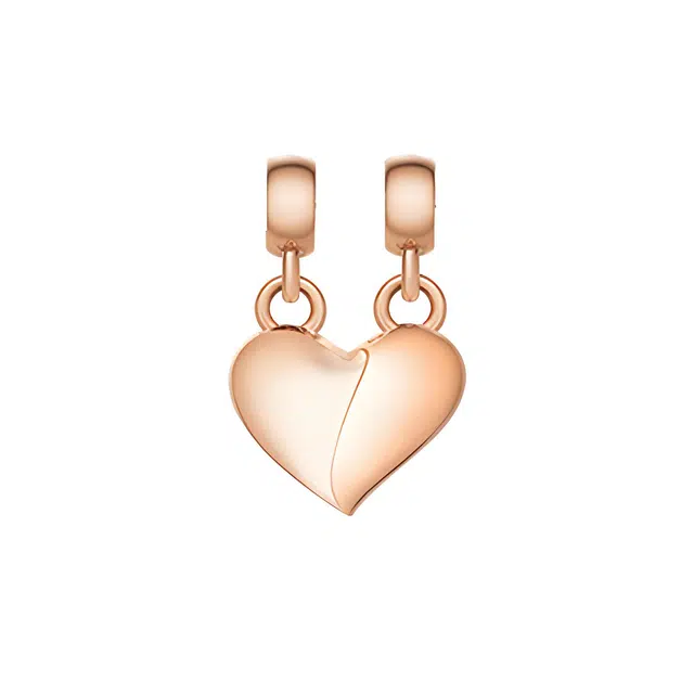Daniel Wellington CHARMS DW