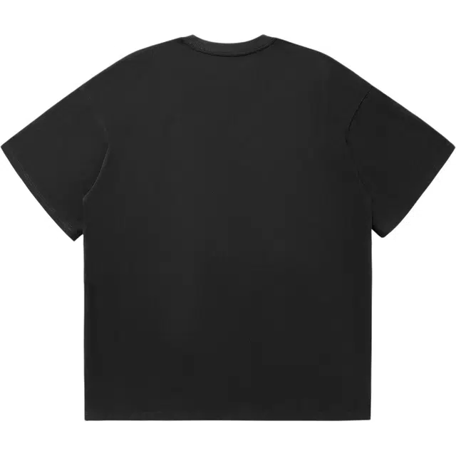 fdragon T
