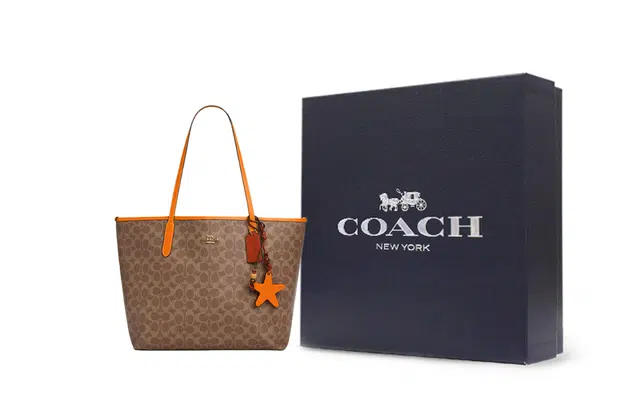 COACH Canvas Tote Bag Brown