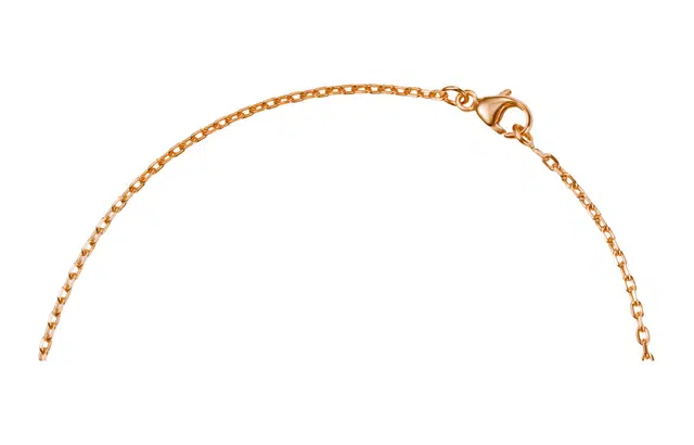 HERMES Cage d'H