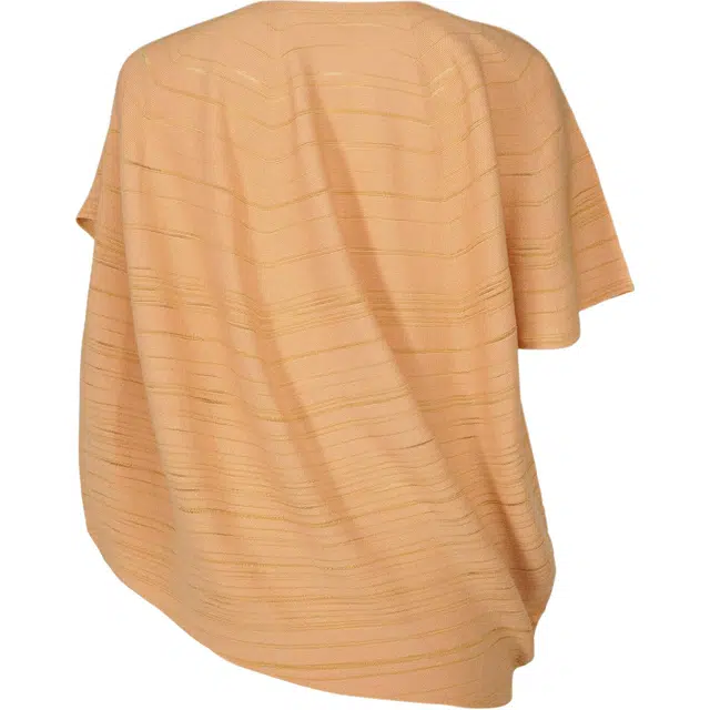 Homme Pliss Issey Miyake FW25 T