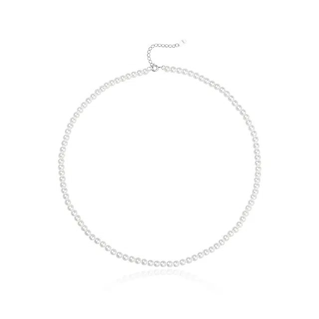 zoo jewel S925