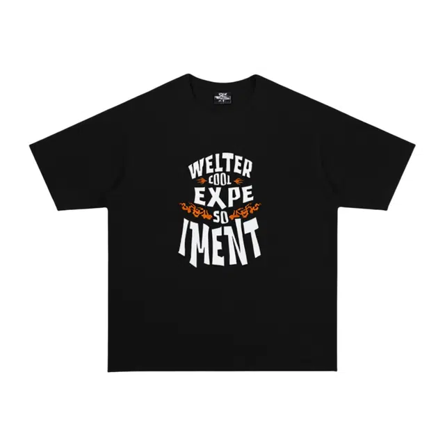 WELTER EXPERIMENT LOGO300T