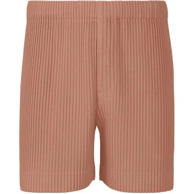 Homme Pliss Issey Miyake FW25