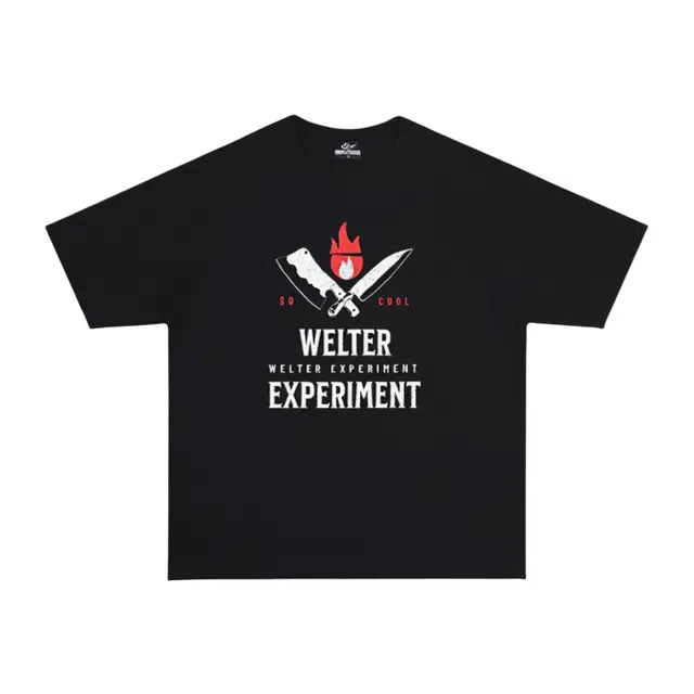 WELTER EXPERIMENT LOGO300T
