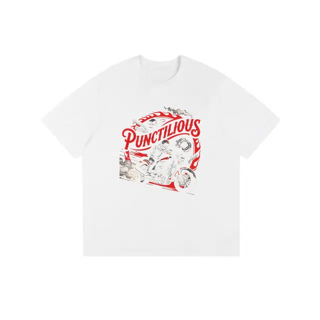 PUNCTILIOUS T