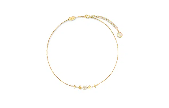 LOUIS VUITTON LV Monogram