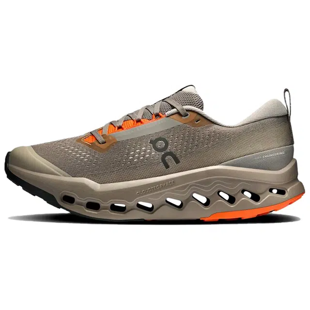 On Cloudsurfer Trail 2