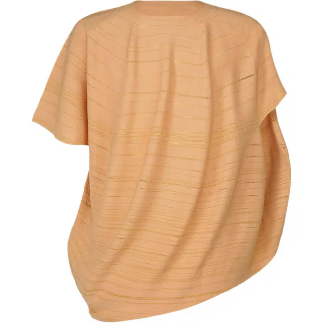 Homme Pliss Issey Miyake FW25 T