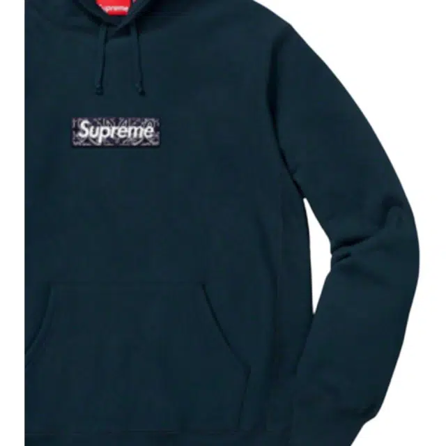 Supreme FW19 Week 16 Bandana Box Logo Hooded Sweatshirt