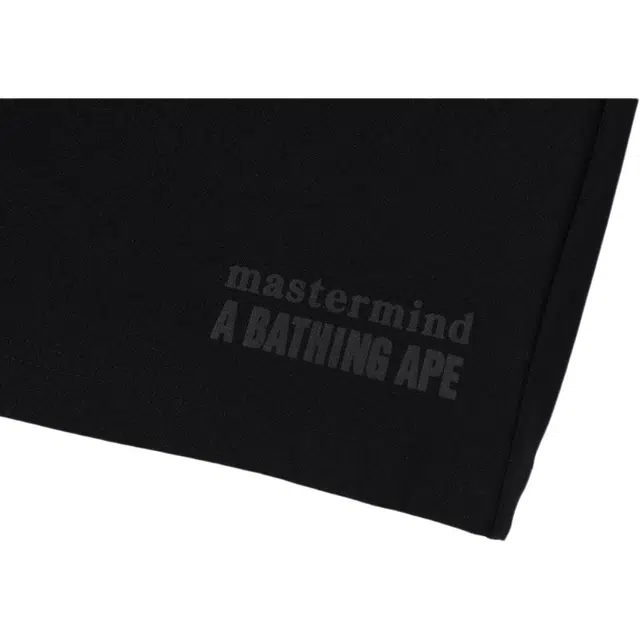 A BATHING APE x mastermind JAPAN FW24 T