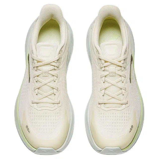 Anta 6