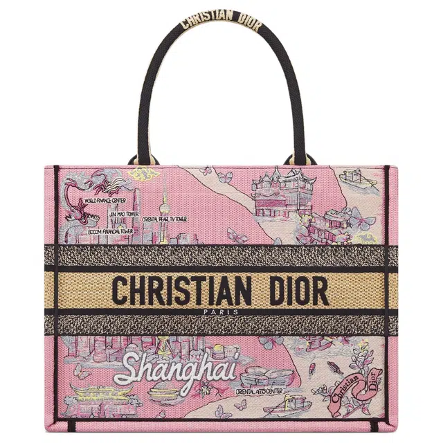 DIOR BookTote Souvenir Tote