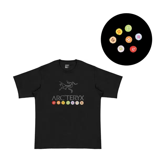 Arcteryx Skeleton T